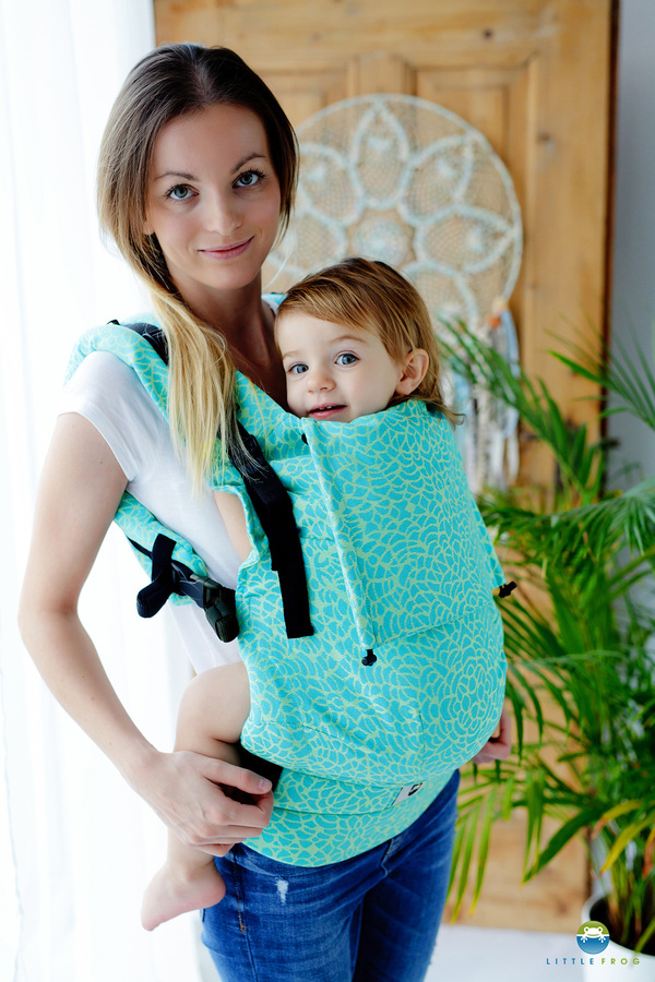 Little Frog ergonomique Toddler Porte-bébé - Flourish