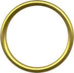 Aluminium Ringe für Tragetücher L - GOLD